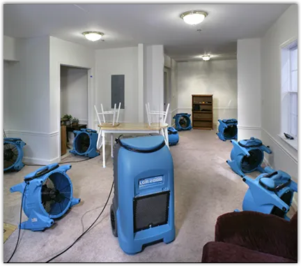 Odor Removal & Deodorization in Lee, NY