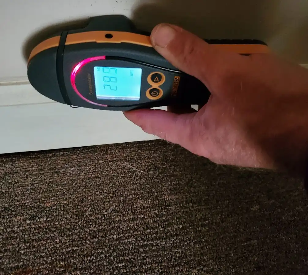 Moisture detection at baseboard during Mold Inspection & Testing in Lee
