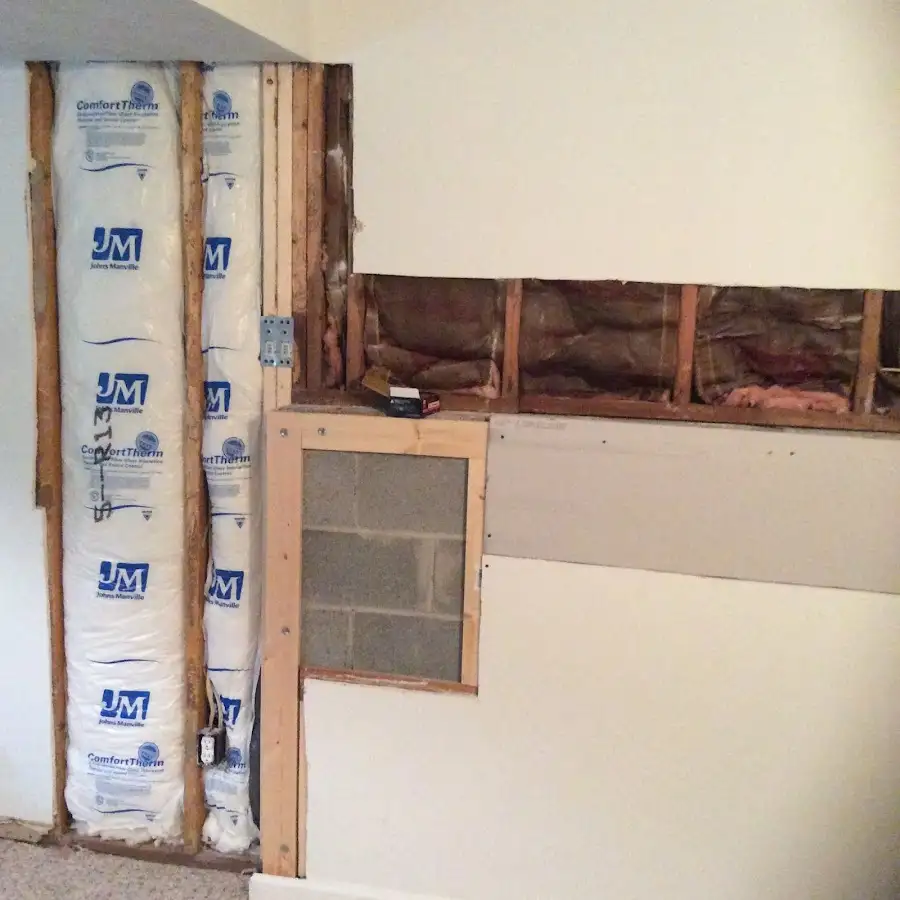 Wall insulation replacement during Odor Removal & Deodorization in Lee